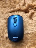 ���� ������������. ����