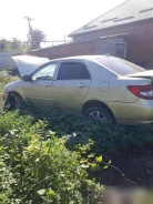 BYD F3 ����