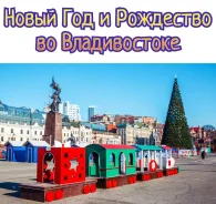 Где Спраздновать Новый Год Хабаровск