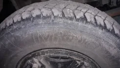 TyRex. �����������, 2019 ���, �/�, ����� 70 % ����