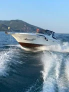 Searay. 1994 ���, ����� 11��., ��������� ������������, 440��.�., ������ ����