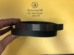 ������ 5590 ����