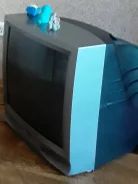 EVGO ����