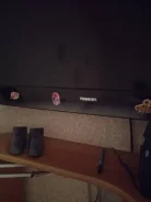 Toshiba. ������ ����