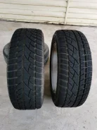 Evergreen. ������, ��� �����, 2019 ���, �/�, ����� 5 % ����