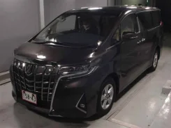 Toyota Alphard. ��������, 4wd, 2.5, ������, 20 000����. ��. ��� ����� �� ������������ ����