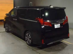 Toyota Alphard. ��������, ��������, 2.5, ������, 47 000����. ��. ��� ����� �� ������������ ����