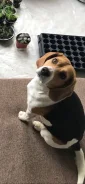 �����. ����