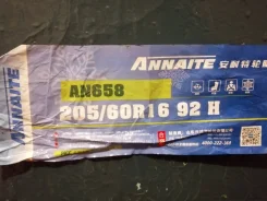 Annaite. ������, ��� �����, 2020 ���, ����� ����