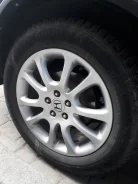 Continental ContiWinterContact. ������, ����������, �/�, ����� 70�% ����