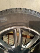Continental Contact. ������, ����������, 2011 ���, �/�, ����� 5 % ����