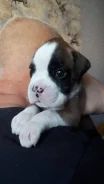 ������. ����