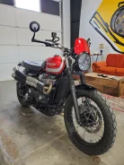 Triumph Street Scrambler. 900����. ��., ��������, ���������, ��� �������. ��� ����� �� ������������ ����