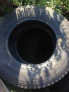 Bridgestone Blizzak W969. ������, ��� �����, �/�, ����� 5�% ����