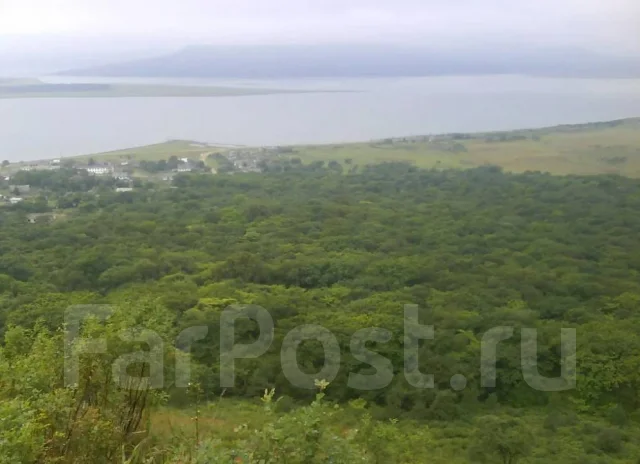 Земельный участок сельхозназначения 1 га, 10 000 кв. м. собственность ...