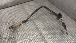MD334299 ������ ������ ���� ��� Mitsubishi Galant (E5) 1993-1997 MD334299 ����