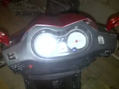 Irbis Nirvana. 150����. ��., ��������, ���, ��� ������� ����