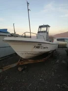 Tohatsu. 1996 ���, ����� 6��., ��������� ���������, 60��.�., ������ ����