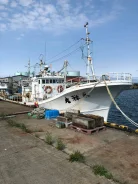 Yanmar. ����� 20��., ��������� ������������, 650��.�., ������ ����
