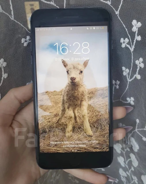 Apple iPhone 8 Plus. �/�, ������, 4G LTE ����