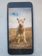 Apple iPhone 8 Plus. �/�, 64 ��, ������, 4G LTE ����