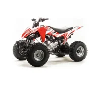 Motoland ATV 125S. ��������, ��� ���\���, ��� �������. ��� ����� �� �������� ����