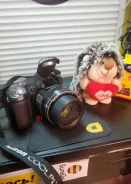 Nikon Coolpix L100. 10 - 14.9 ��, ���: 14� � ����� ����