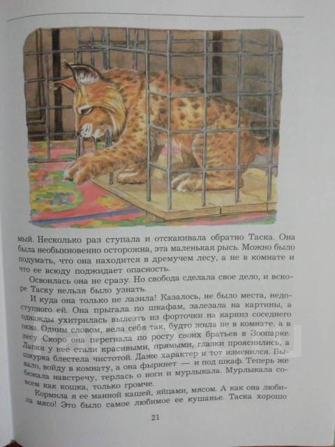 Презентация чаплина питомцы зоопарка