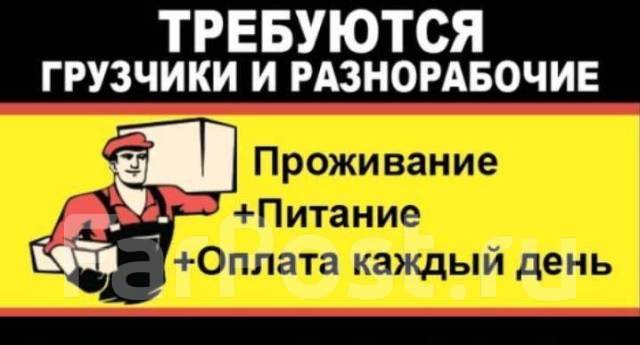 Работа и вакансии 