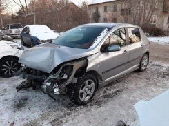 Peugeot 307. 3A, TU5 ����