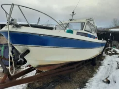 Yamaha Fish 24. 1991 ���, ����� 7,3��., ��������� ���������, 225��.�., ������ ����