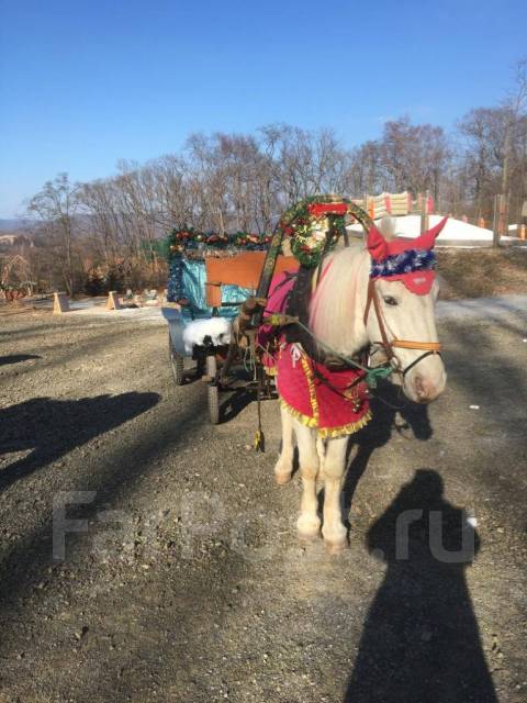 Карета на свадьбу