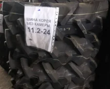 Tiron. �����������, 2020 ���, ����� ����