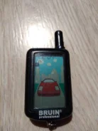 Bruin. ����