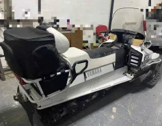 Yamaha Viking 540 IV Limited. ��������, ���� ���, � �������� ����