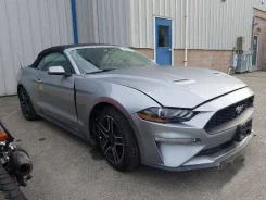 Ford Mustang. ��������, ������, 2.3 (310��.�.), ������, 11 000����. ��, �/�. ��� ����� �� ������������ ����