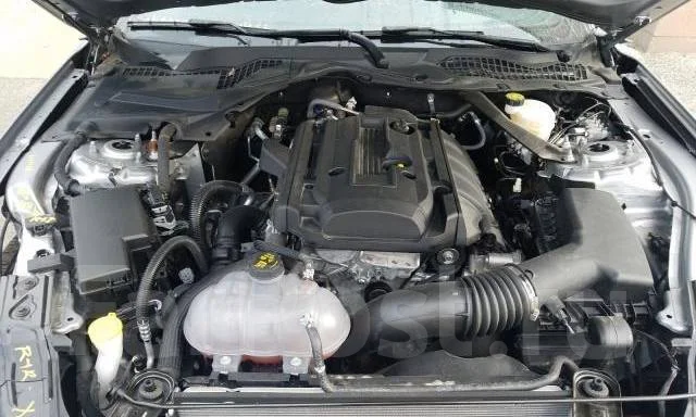Ford Mustang. ��������, ������, 2.3 (310��.�.), ������, 11 000����. ��, �/�. ��� ����� �� ������������ ����