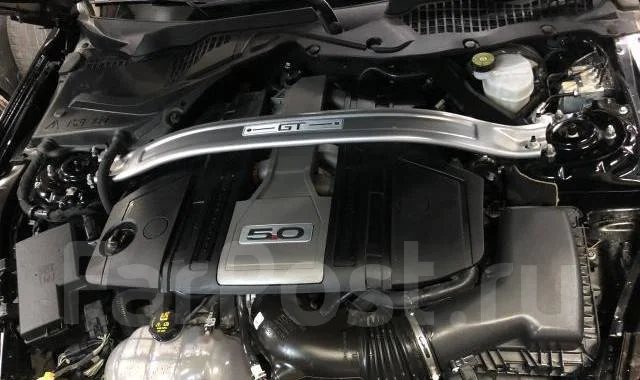 Ford Mustang. ��������, ������, 5.0 (460��.�.), ������, 17 000����. ��, �/�. ��� ����� �� ������������ ����