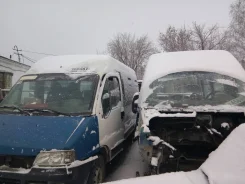Fiat Ducato ����
