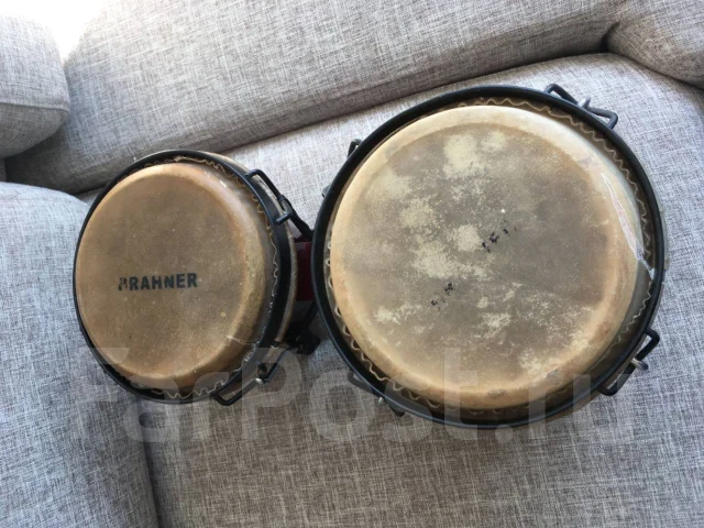 �����. ����