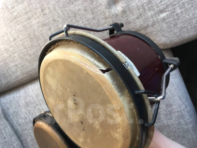 �����. ����