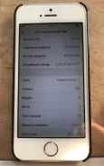 Apple iPhone 5s. �/�, 64 ��, �����, 3G, 4G LTE ����