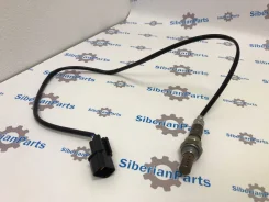 ����������� ������, ������ MN153037 ����