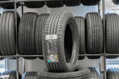 Blacklion BU66 Champoint. ������, 2020 ���, ����� ����