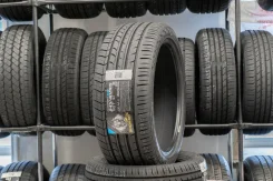Blacklion BU66 Champoint. ������, 2019 ���, ����� ����