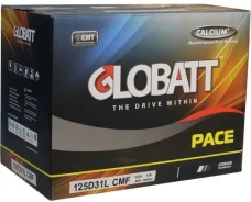 Globatt. 100��.�., �������� ����