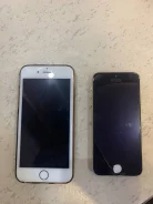 Apple iPhone SE. �/� ����
