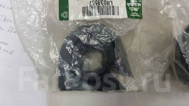   LR038557 LR038557 