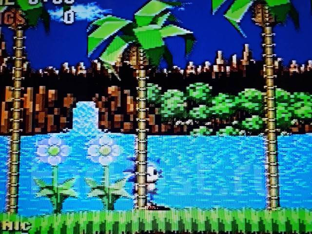 Sega ����