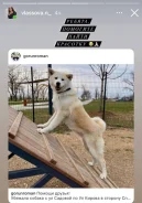 �����-���. ����